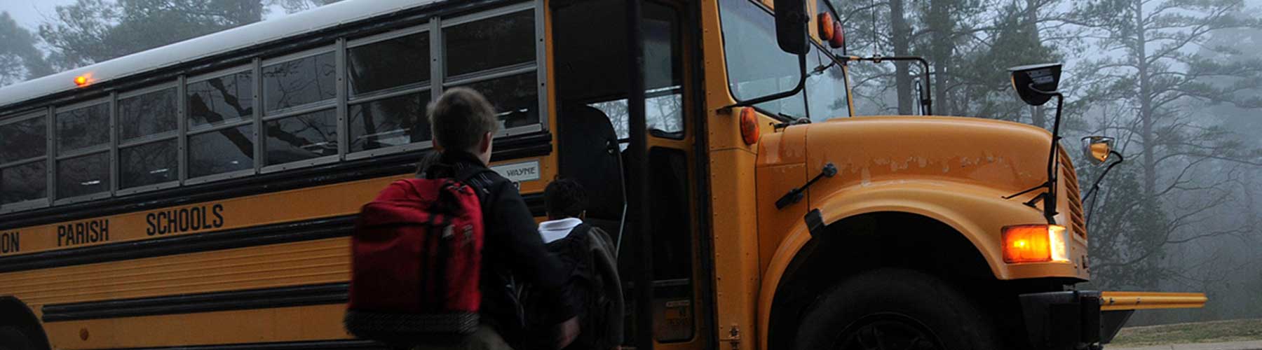 Școala Gimnazială "Lucian Blaga" Satu Mare